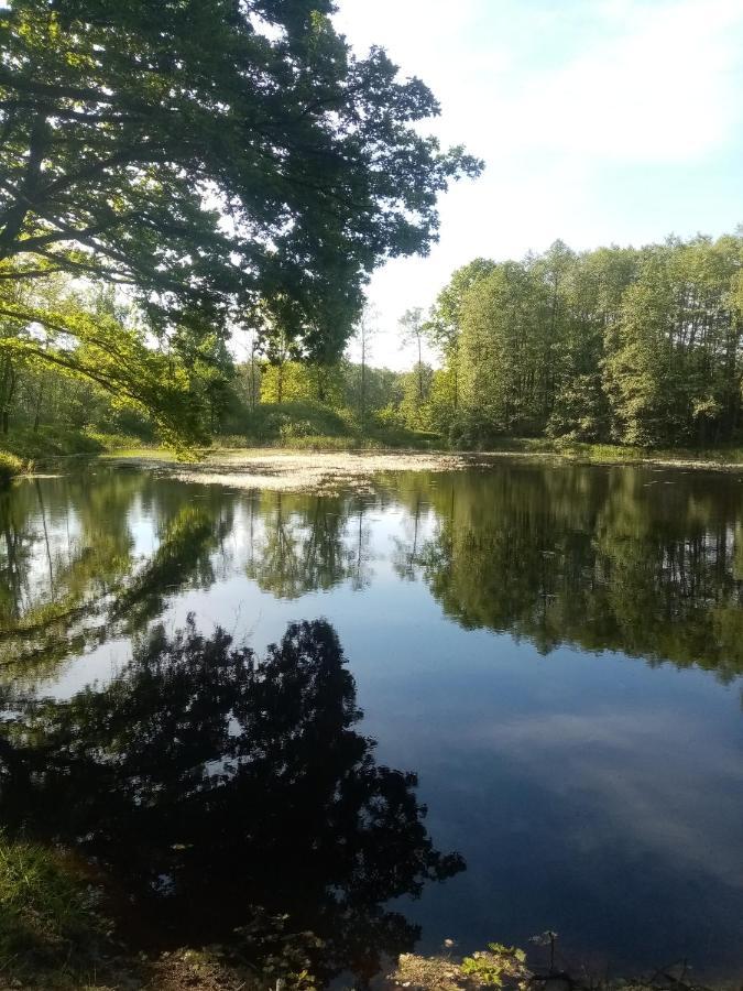 Apartmany Kohoutek A Slepicka V Novohradskych Horach Nove Hrady  Luaran gambar